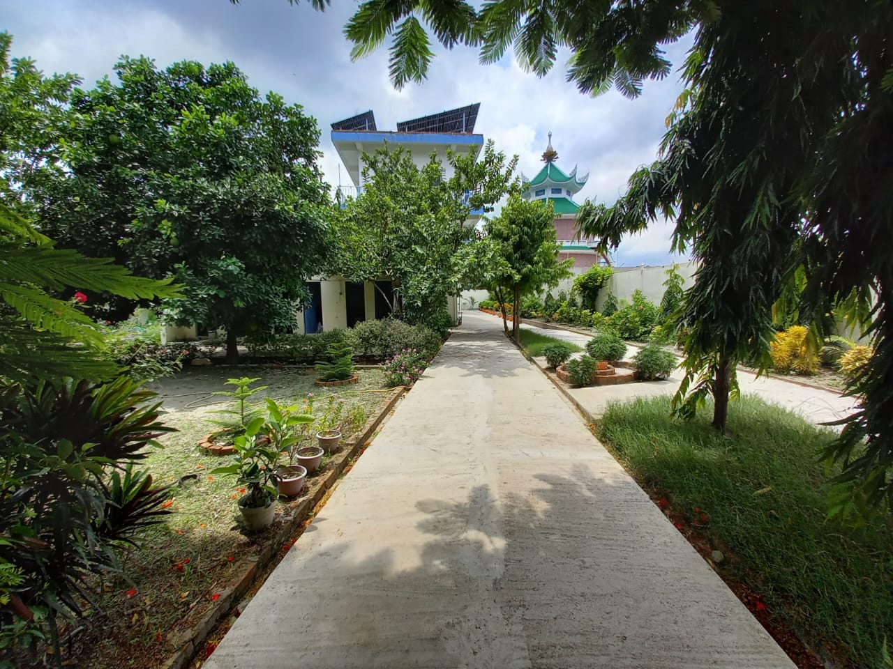 vesali_05
